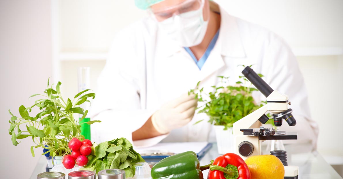We Are Now Able To Genetically Alter The DNA Of The Food We Consume
