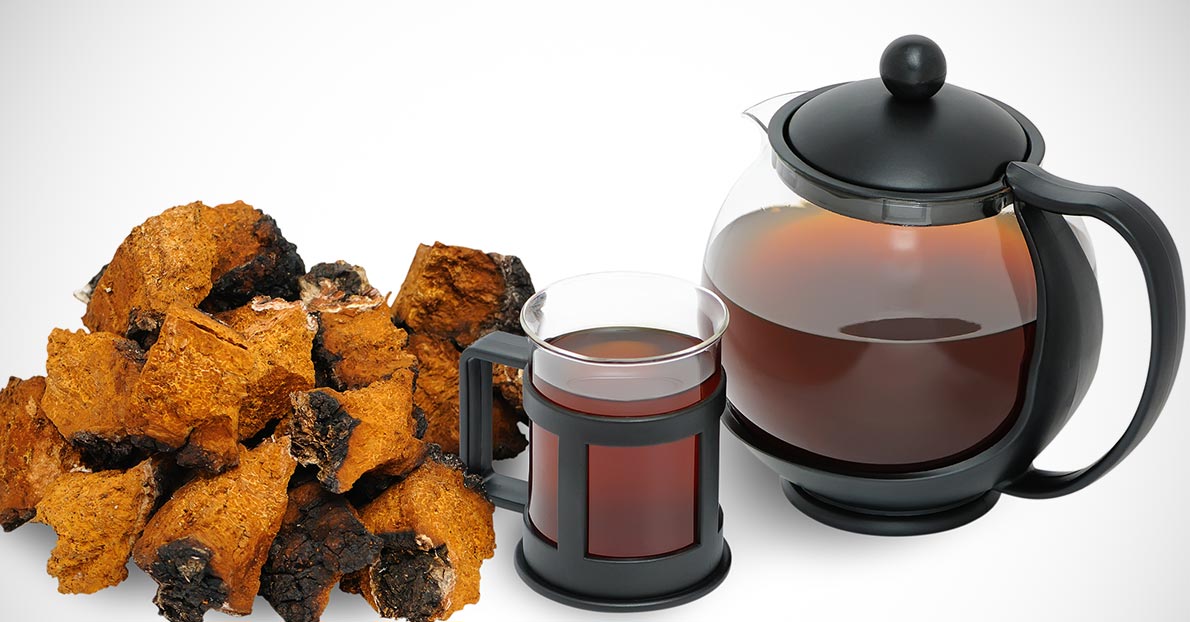 Health Benefits Of Chaga Mushroom Tea