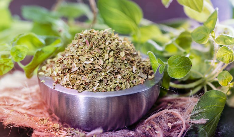 Oregano can protect your from food-borne viruses