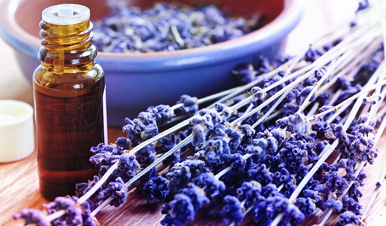 Lavender oil is the most popular and has a wide range of uses
