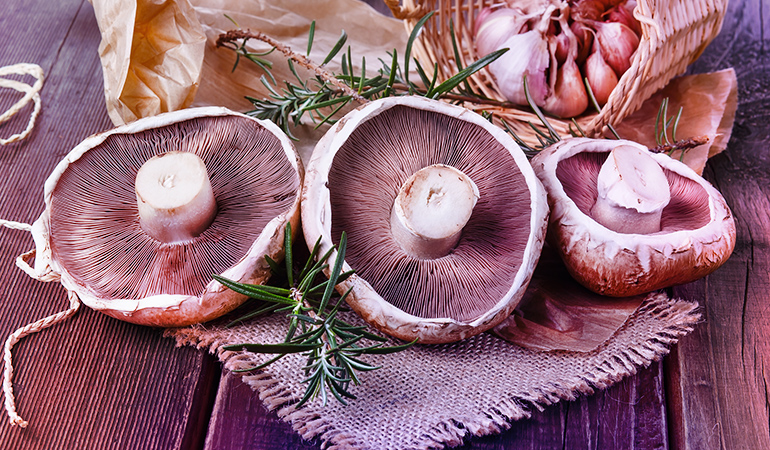ackfruit and mushrooms mimic the texture of meat