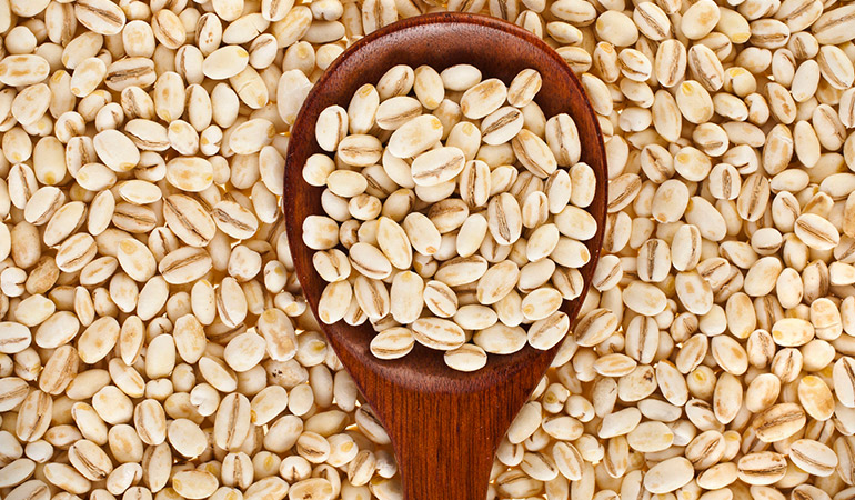 Barley is high in fiber and low in fat