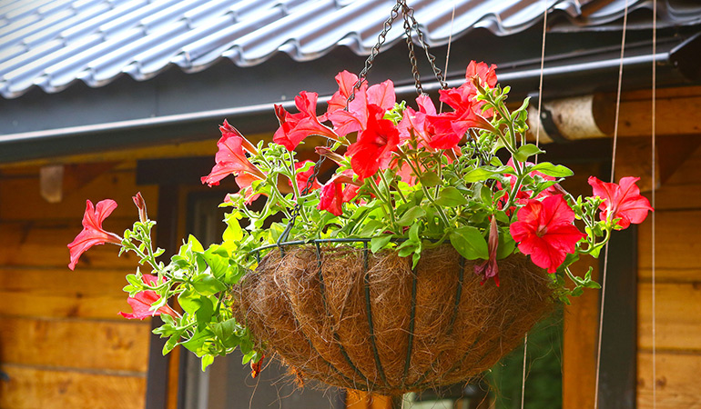 Hanging up the pots filled with colorful flowering plants add beauty to your homes