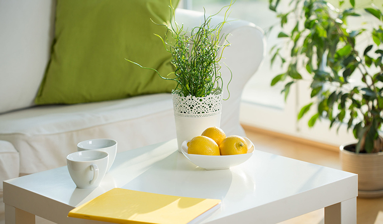 Houseplants can be used to clean the air