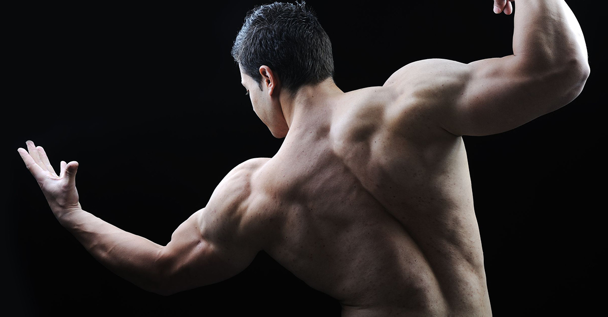 Several Factors Determine Muscle Gain