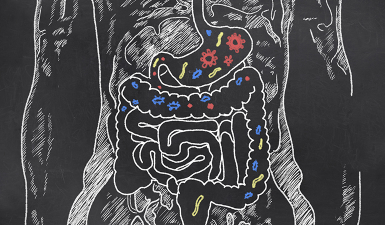 How To Improve Your Digestion