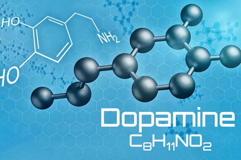 Learning is a process that causes the release of a neurotransmitter called dopamine