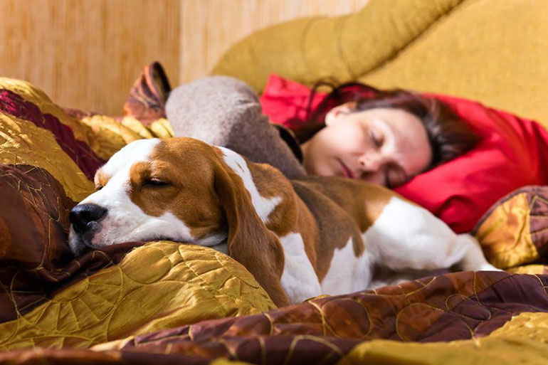 If you are a light sleeper, don't share the bed with your pet