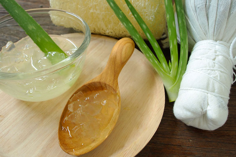 Aloe-vera has numerous medicinal properties that help repair damaged skin