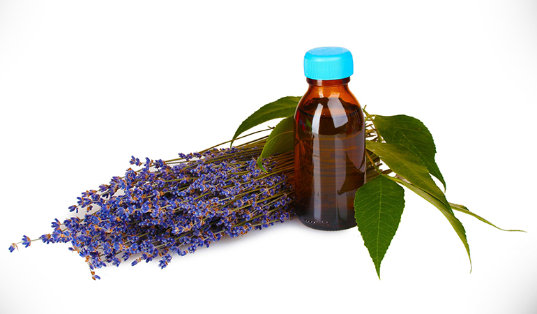  lavender essential oil for oily skin