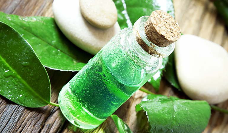 Tea tree oil has numerous antifungal properties and can be used topically