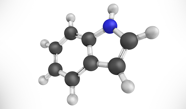 Indole is an organic compound that is made by the bacteria in our gut.