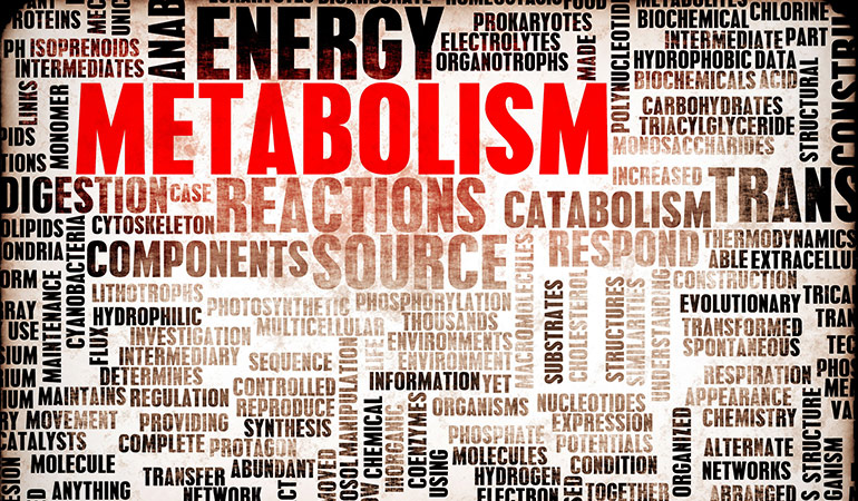 Metabolism Is A Natural Process