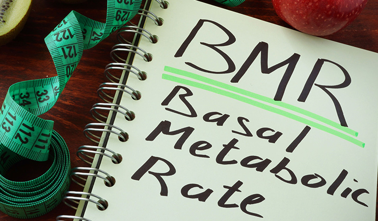 A High BMR Depends On The Genes