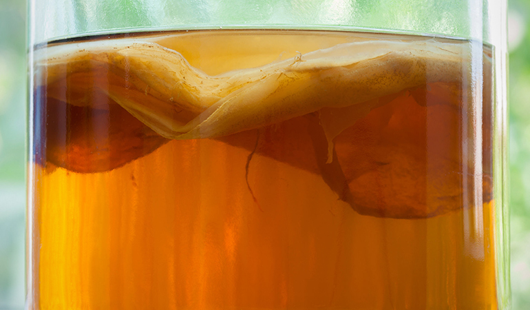 Kombucha uses live bacteria that help in the fermentation of the drink