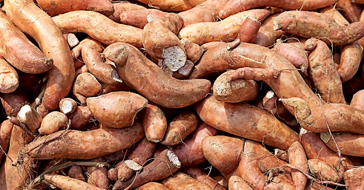 Here's the difference between sweet potatoes and yams
