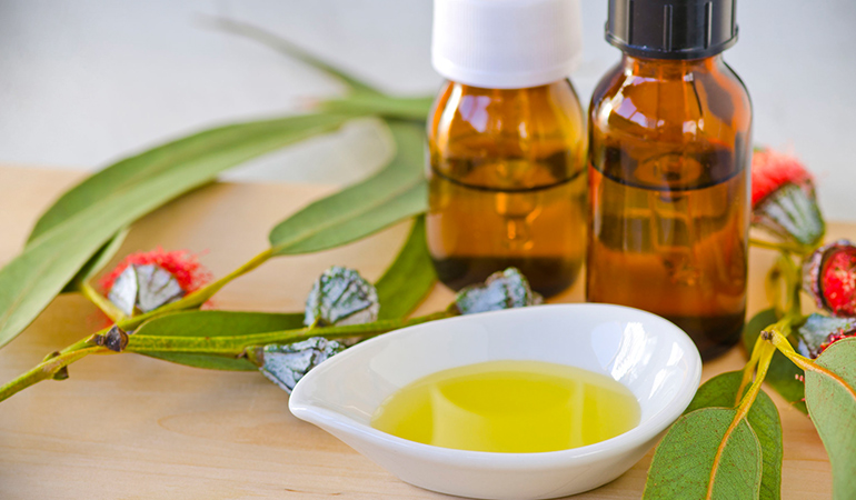 Eucalyptus oil has a rejuvenating scent with antiseptic properties