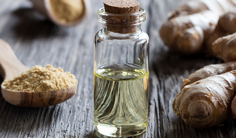 Ginger Extract Is A Natural Antibiotic And May Fight Bacterial Infections