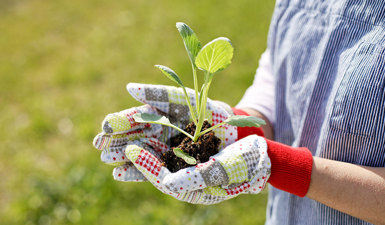 Growing your own herbs reduces and recycles waste and benefits the environment.