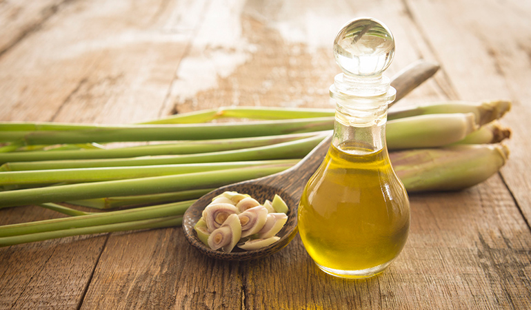 Lemongrass oil inhibits the growth of the influenza virus
