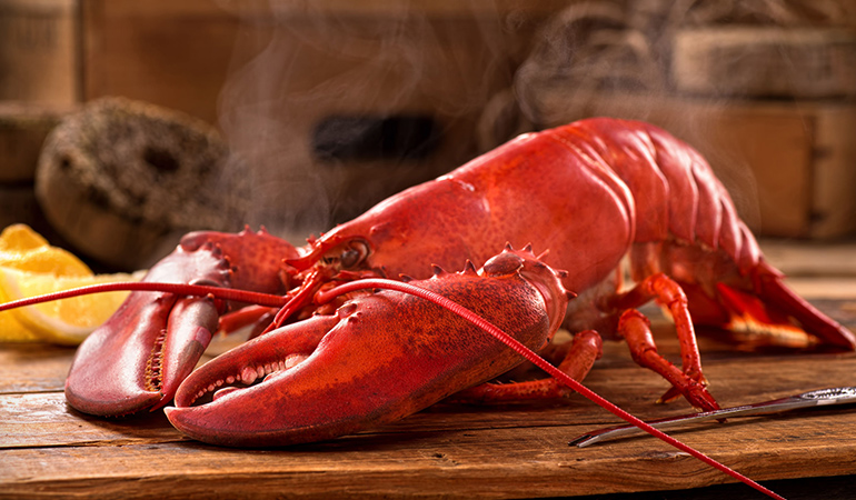 Lobsters may be picked up live from a tank and slaughtered immediately for consumption