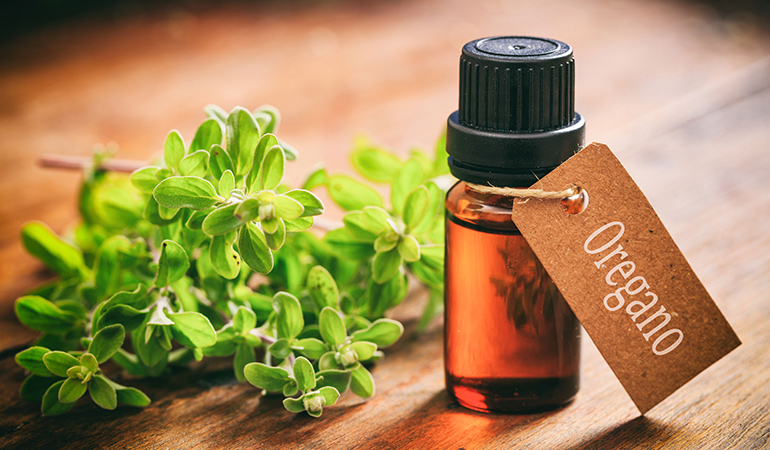 Oregano Essential Oil Is A Natural Antibiotic And May Fight Bacterial Infections