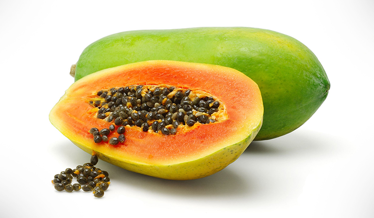 Genetically modified papayas may cause antibiotic resistance