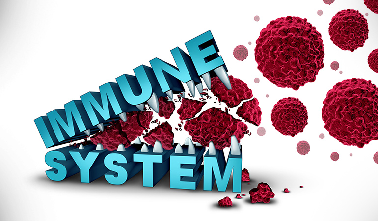 Your gut affects immunity.