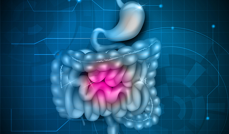 The cells of your stomach lining and small intestine are regularly replaced.