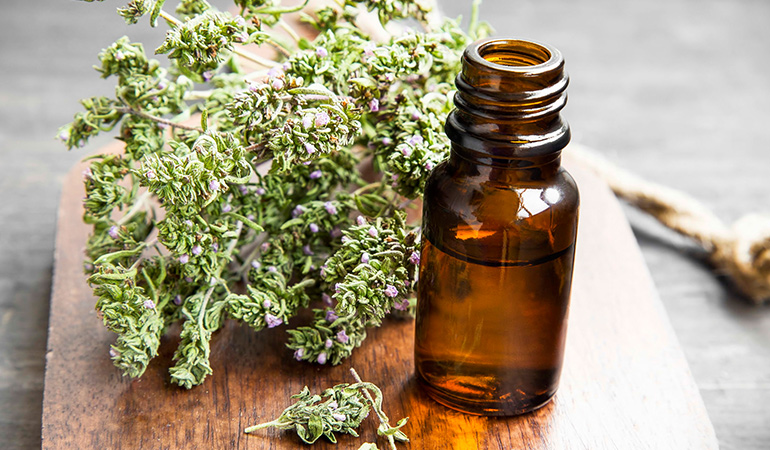 Thyme Essential Oil Is A Natural Antibiotic And May Fight Bacterial Infections