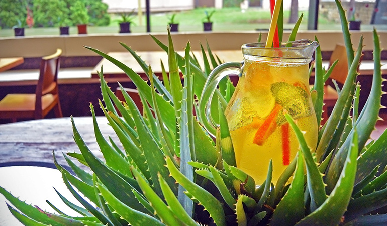 Aloe Vera, mint, honey and lemon make a potent detox drink that can combat acne