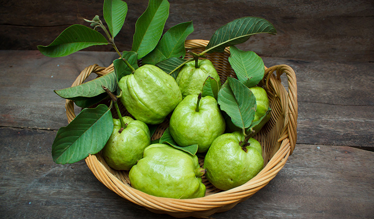 Guava leaves contain antioxidants that can promote hair growth.