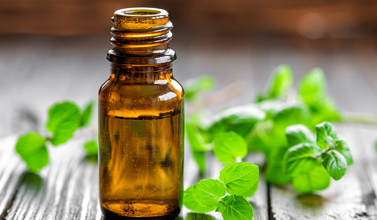 The menthol in peppermint oil is beneficial in curing headaches and migraines.