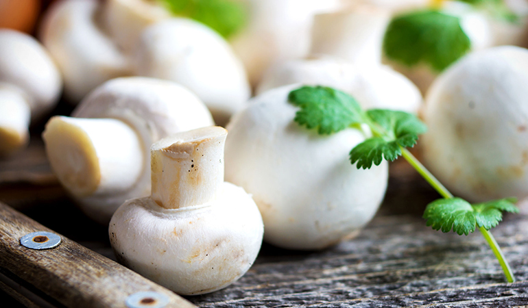 Mushrooms contain amino acids that are vital for our health
