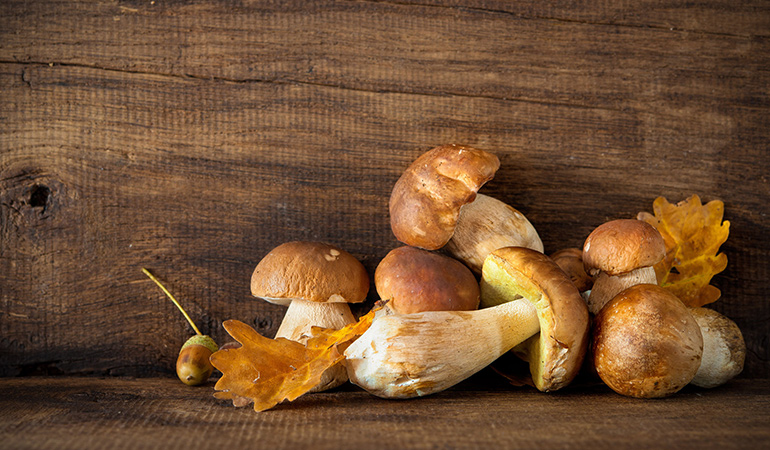 Porcini mushrooms are rich in antioxidants.