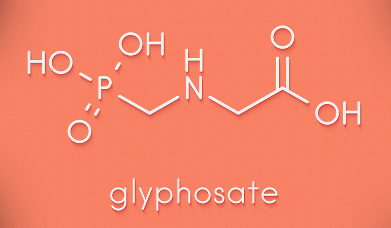 Glyphosate is a compound in many herbicides that is also used to pre-harvest wheat
