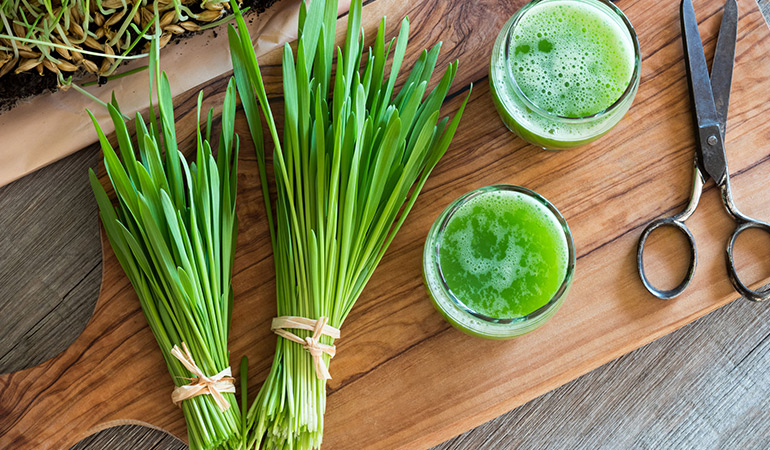 Researchers found that wheatgrass juice may cure ailments like thalassemia and ulcerative colitis.