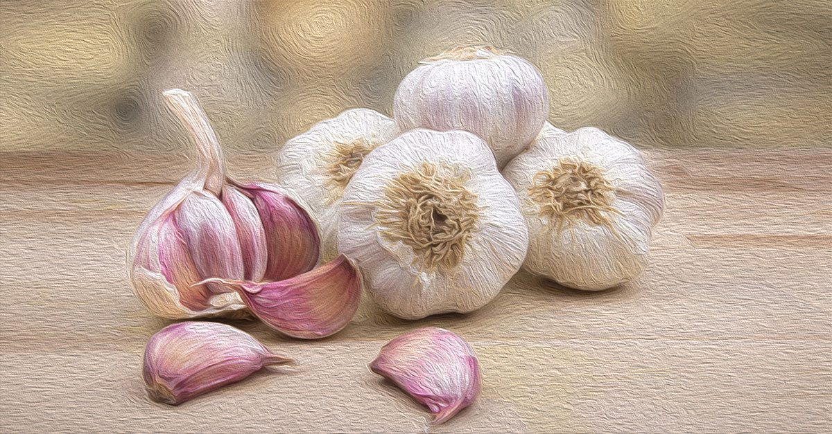 Garlic can lower total cholesterol, LDL cholesterol, and triglyceride levels.