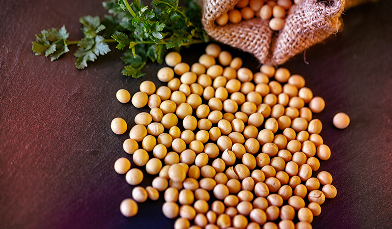 1 cup of boiled soybeans have 12.1 mg/kg of CoQ10.