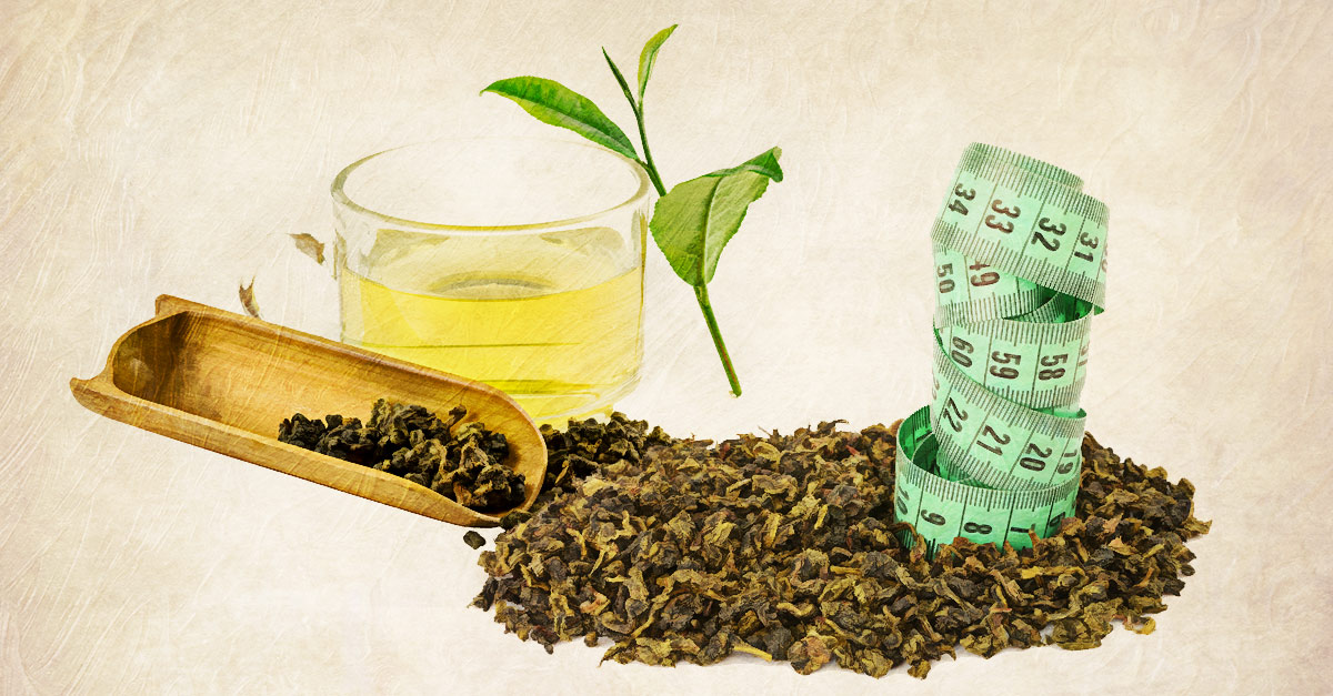 Oolong tea increases energy expenditure and fat burning and reduces fat absorption.
